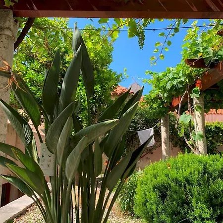 Сasa de vacaciones Hedera Estate, House Hedera Vi